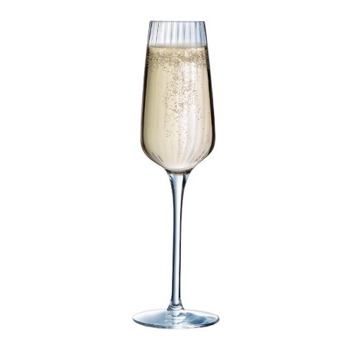 Chef and Sommelier Symetrie Champagne Flutes 210ml 24 pack (HW250)