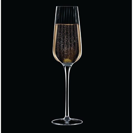 Chef and Sommelier Symetrie Champagne Flutes 210ml 24 pack (HW250)