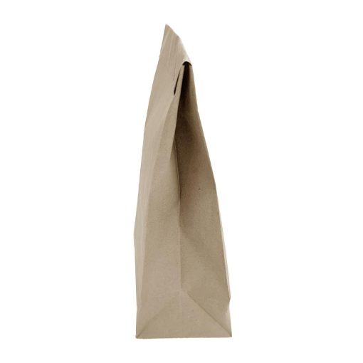 Fiesta Recyclable Sealable Takeaway Bags Medium 250 Pack (JA318)