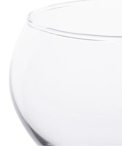 Olympia Lillie Cocktail Glasses 540ml 6 Pack (JA364)