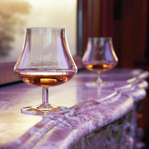 Chef and Sommelier Open Up Ardent Brandy Glasses 390ml 24 Pack (JB043)