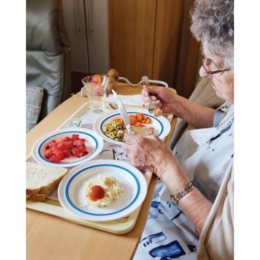 Autonomy Soup Dishes Blue Border 230mm 12 Pack (JC962)