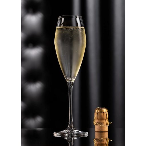 Utopia Seine Flutes 260ml 6 Pack (DX923)