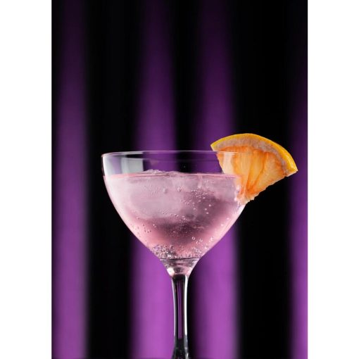 Utopia Loire Martini Glasses 240ml 6 Pack (DX930)