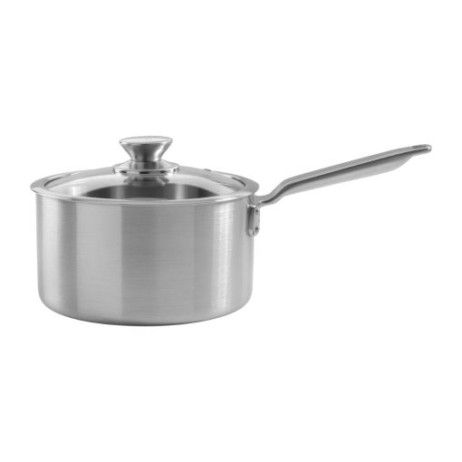 Samuel Groves Stainless Steel Saucepan and Glass Lid 20cm (JC881)