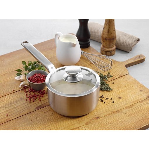 Samuel Groves Stainless Steel Saucepan and Glass Lid 20cm (JC881)