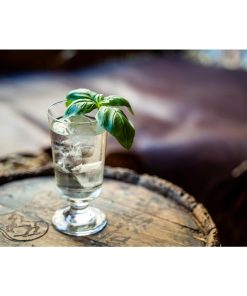 Libbey Embassy Footed Tumblers 296ml 24 Pack (JF814)