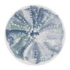 Schönwald Maritime Ocean Breeze Coupe Plates 170mm 12 Pack (JF885)