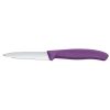 Victorinox Swiss Classic Paring Knife Straight Pointed Purple 19cm Pack 2 (JK092)