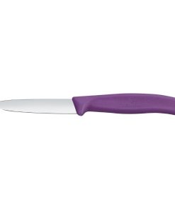 Victorinox Swiss Classic Paring Knife Straight Pointed Purple 19cm Pack 2 (JK092)