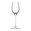 RCR Cristalleria Invino Sherry Goblet 100ml 12 Pack (VV3805)