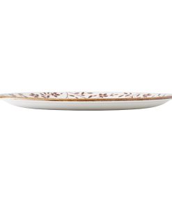 Steelite Performance Flora Coupe Plates Brown 280mm 12 Pack (VV4619)