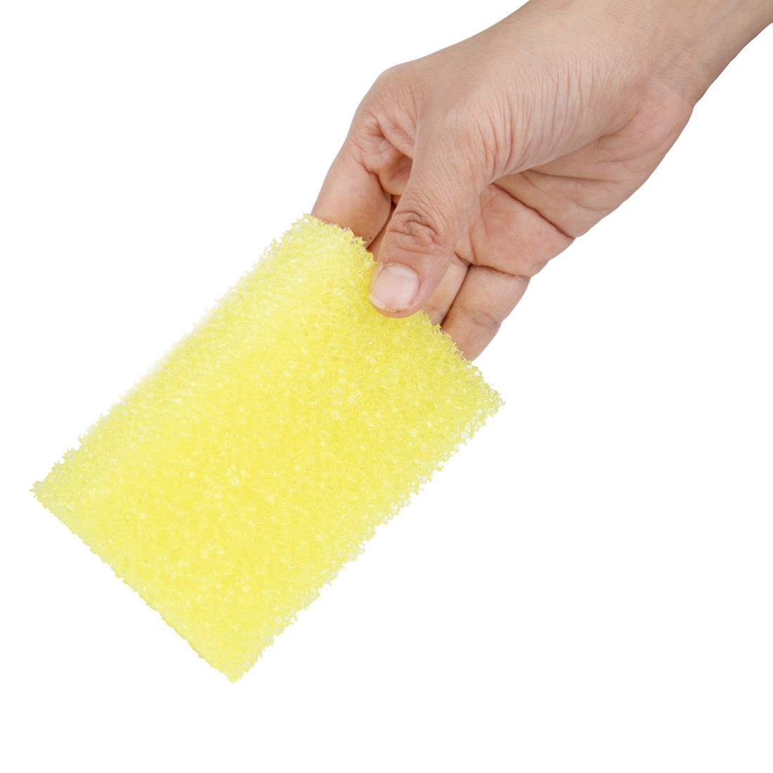 Jantex Dual Sponge Scourers 10 Pack (JC816)