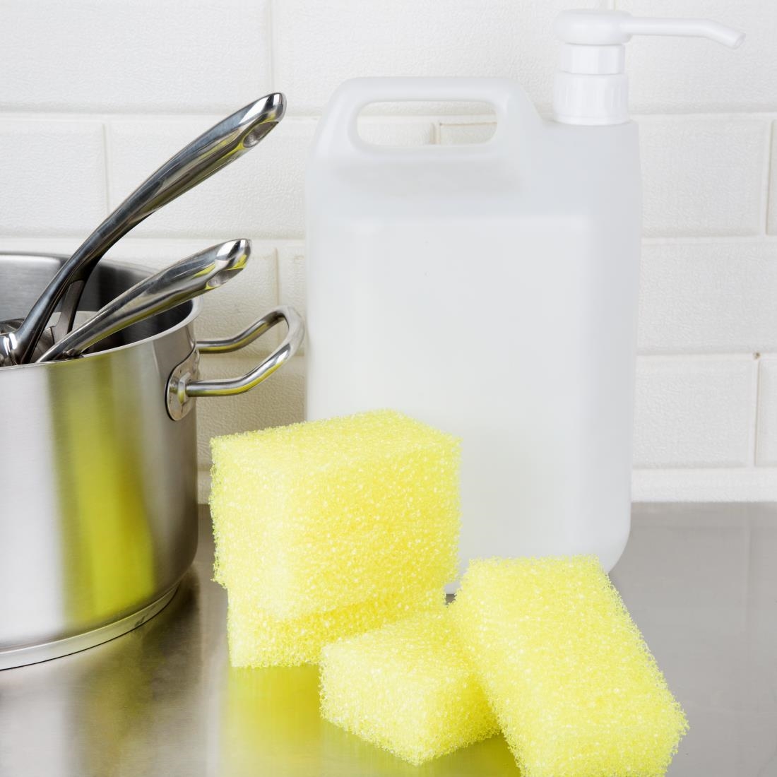 Jantex Dual Sponge Scourers 10 Pack (JC816)