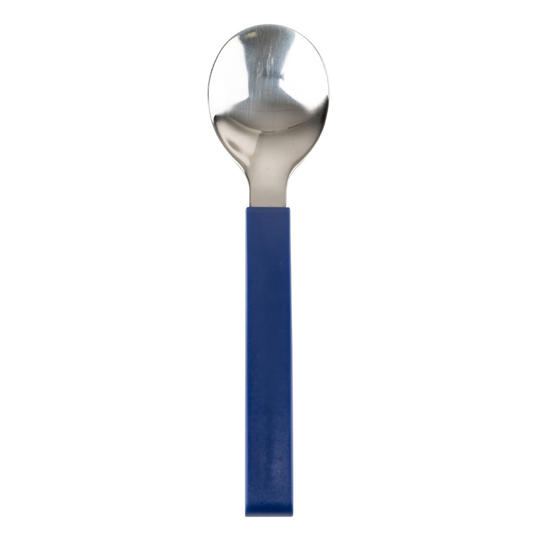 Amefa Select Straight Dessert Spoons Blue 12 Pack (JD250)