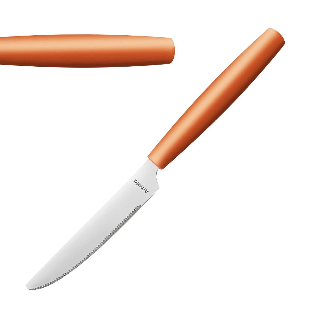 Amefa PIXEL Table Knives Orange 12 Pack (JD280)