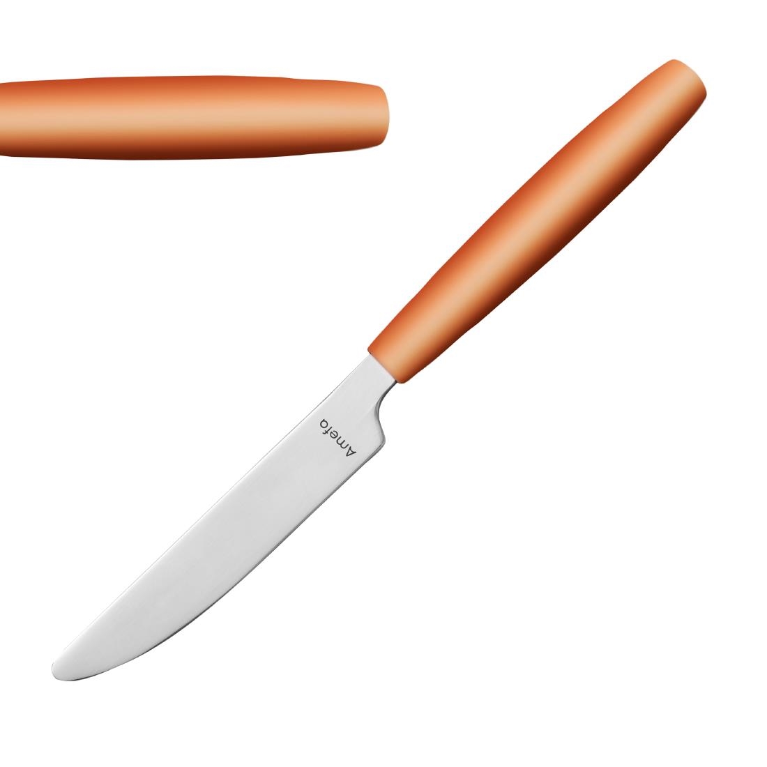 Amefa PIXEL Dessert Knives Orange 12 Pack (JD283)