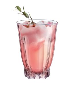 Arcoroc Arcadie Hiball Tumblers 400ml 24 Pack (JK534)