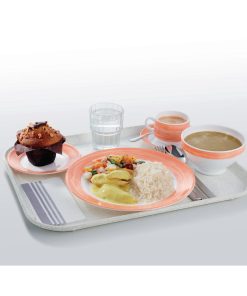 Arcoroc Brush Plates Orange 252mm 12 Pack (JK572)