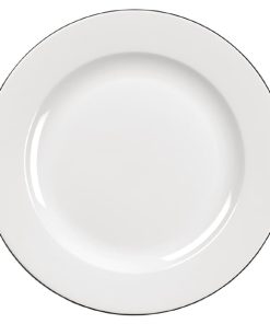 Churchill Alchemy Mono Plates 300mm 12 Pack (W560)