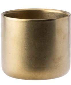 Utopia Artemis Double Wall Cups Rumbled Gold 82mm 6 Pack (JM371)