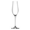 Crown Glassware Tigris Flutes 235ml 6 Pack (JM400)