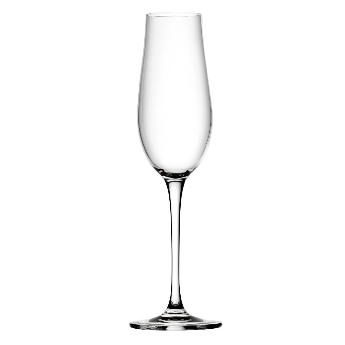 Crown Glassware Tigris Flutes 235ml 6 Pack (JM400)
