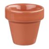 Churchill Bit on the Side Plant Pots Paprika 114ml 12 Pack (FF528)