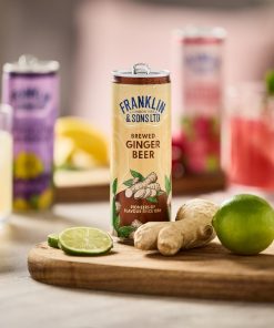 Franklin and Sons Brewed Ginger Beer Cans 250ml 12 Pack (KA846)