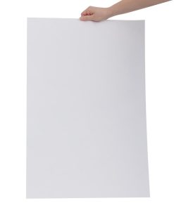 Fiesta Compostable Fish and Chip Paper White 500x750mm  200 Pack (HY779)
