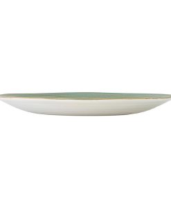 Steelite Orbita Coupe Plates Fuse Tide 285mm 12 Pack (VV5161)