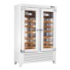 Infrico Upright Double Door Wine Cellar 180 Bottles (JA578)