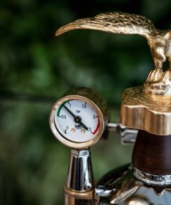 La Pavoni Expo 2015 Lever Coffee Machine (JN971)