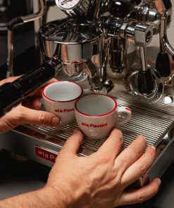 La Pavoni Botticelli Speciality Dual Boiler PID Semi-Professional Coffee Machine (JN977)