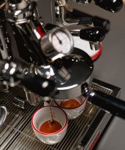 La Pavoni Botticelli Speciality Dual Boiler PID Semi-Professional Coffee Machine (JN977)