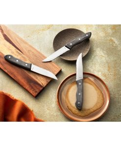 Amefa Hercule Jumbo Steak Knife 6 Pack (JP500)