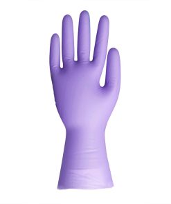 Hygiplas Vinyl Purple Powder Free Glove S 100 Pack (FJ749-S)