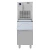 SIMAG Flake Ice Machine SPH 255 with R130 Ice Bin (JP628)