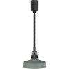Roband R7S Pendant Heat Lamp Sage PR30SG (JP839)