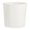 Rene Ozorio White Album Thimbles 262.5ml 12 Pack (VV4762)