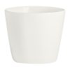 Rene Ozorio White Album Thimbles 142.5ml 12 Pack (VV4763)